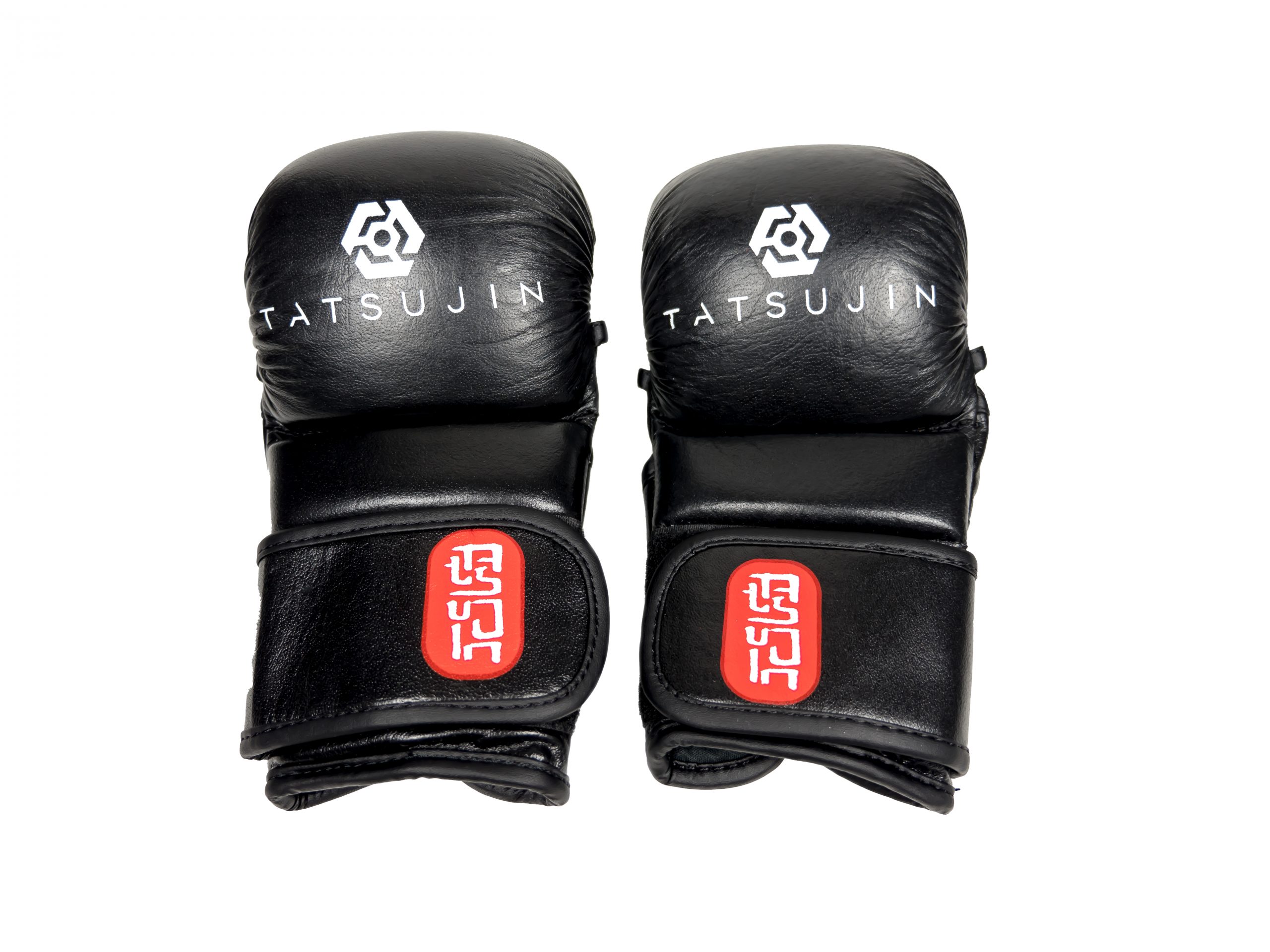 Tatsujin_0033_P1100725